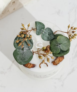 Zayoshe Scented Candles -Vanilla Aroma