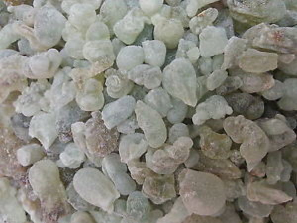 Frankincense Salalah Oman - 100gms
