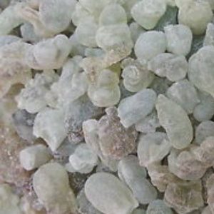 Frankincense Salalah Oman - 100gms