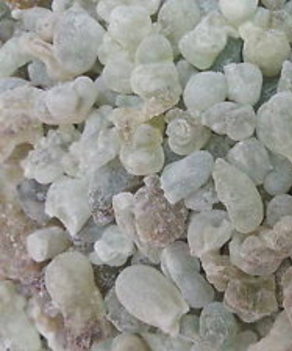 Frankincense Salalah Oman - 100gms