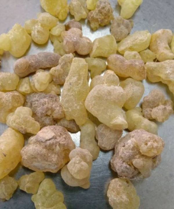 Frankincense Salalah Oman - 100gms