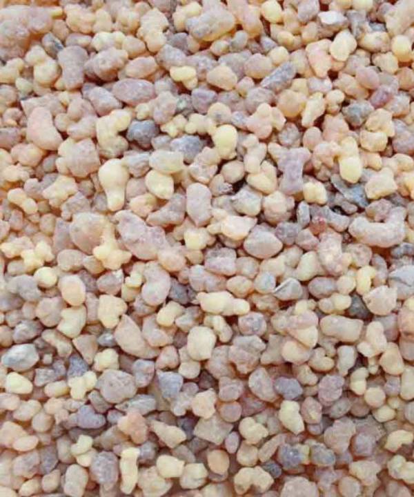 Frankincense Salalah Oman - 100gms