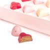 Assorted Hearts and Bonbons – 20pcs Chocolate Gift Box