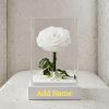 Personalized Eternal Forever Rose
