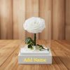 Personalized Eternal Forever Rose