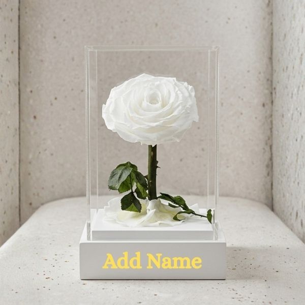 Personalized Eternal Forever Rose