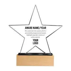 Personalized Star Glass Award Plaque with Wood Base