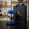 Forever rose 04 Forever rose 04