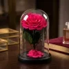 Forever rose 05 Forever rose 05