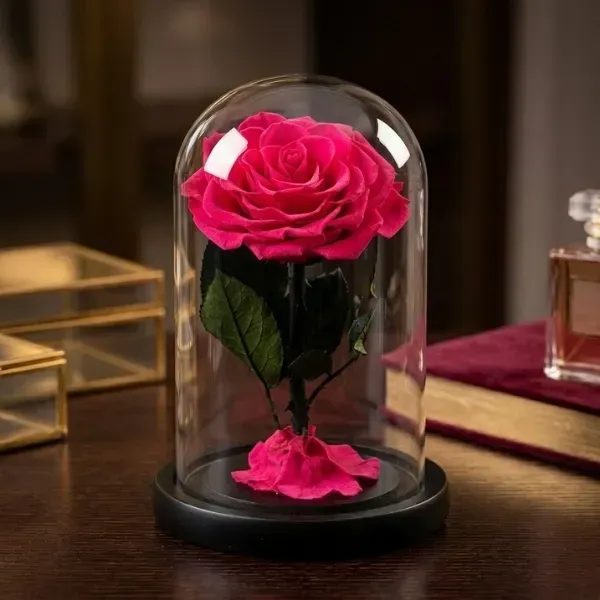 Forever rose 05 Forever rose 05
