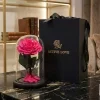 Forever rose 06 Luxury Forever Rose in Glass Dome