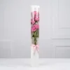 Five Stem Rose Clear Display Cylinder Collection 1 Five Stem Rose Clear Display Cylinder Collection
