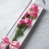 Five Stem Rose Clear Display Cylinder Collection 2 Five Stem Rose Clear Display Cylinder Collection