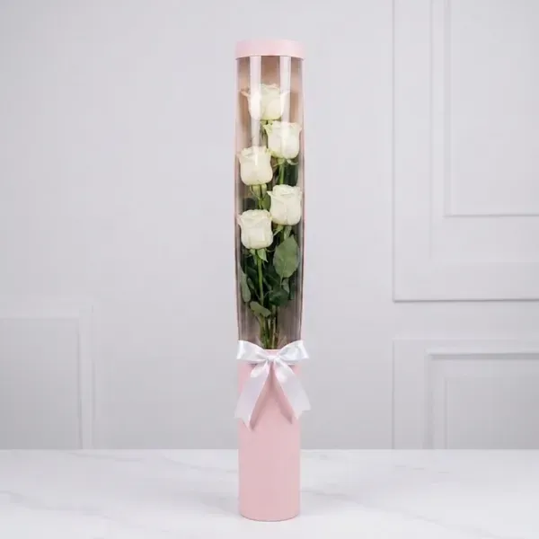 Five Stem Rose Clear Display Cylinder Collection 4 Five Stem Rose Display Cylinder Collection