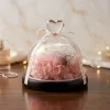 Preserved Rose in Glass Dome with LED Lights 1 Preserved Rose in Glass Dome with LED Lights