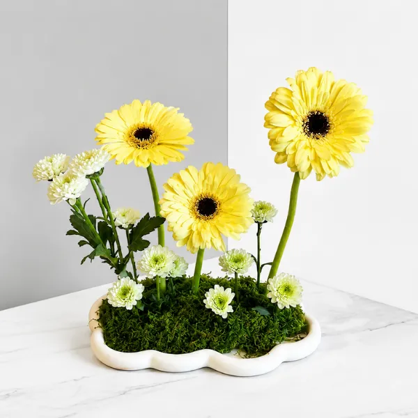 Golden Sunshine Gerbera Flower Arrangement - Flowers gift from ZAYOSHE in Maleha Street, Sharjah, UAE