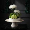 zen flower 1 Zen Garden Bloom Box