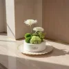 zen flower 2 Zen Garden Bloom Box