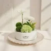 zen flower 3 Zen Garden Bloom Box