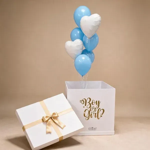 Boy or Girl Surprise Balloon Box6 Boy or Girl? Surprise Balloon Box